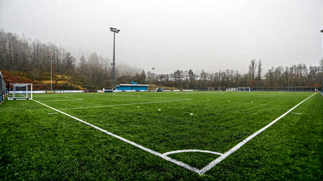 Wales’ New Reality